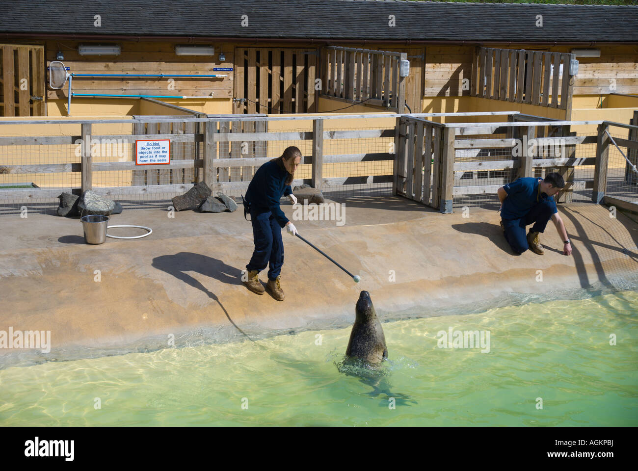 Ocean World North Queensferry Fife Scotland aquarium and sealife centre