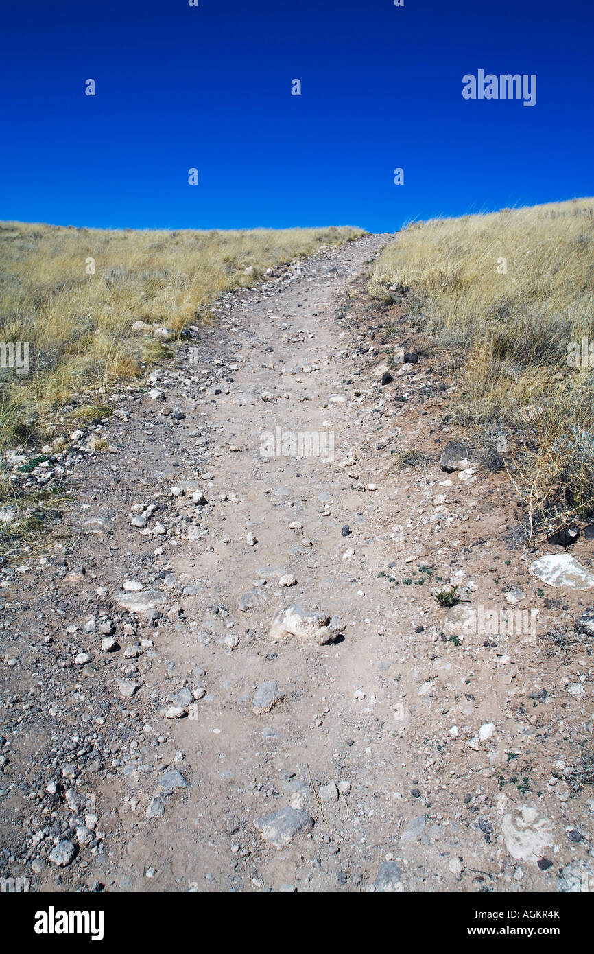Rocky trail hi-res stock photography and images - Alamy
