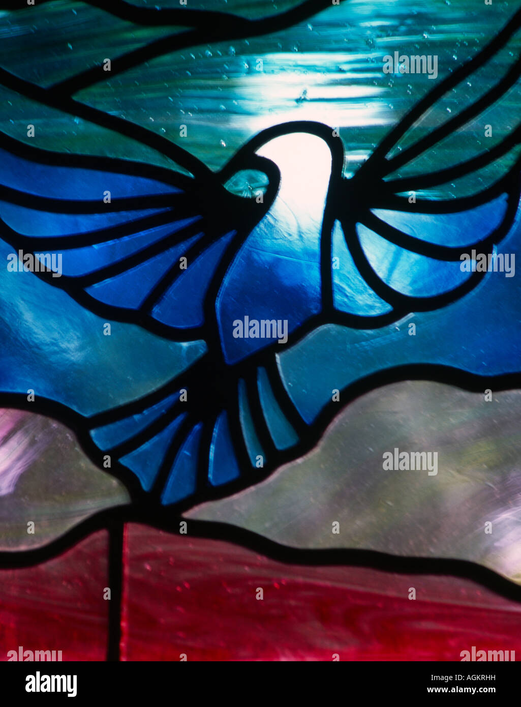 Stained Glass Window Dove Of Peace St Anne's Catholic Church Kingston