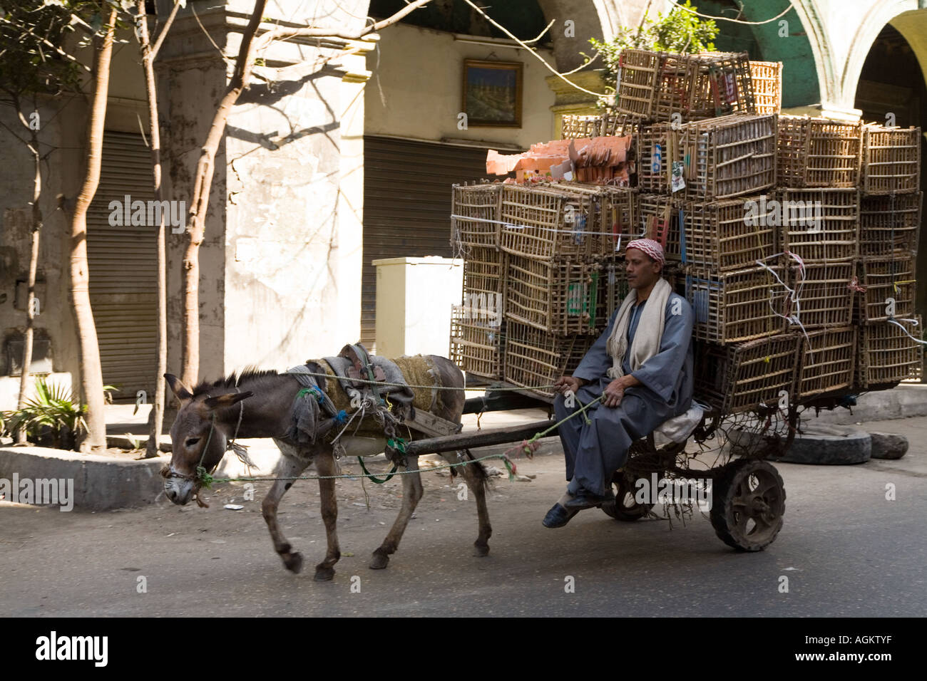 Donkey Cart carrying goods to market in Cairo Egypt Stock Photo