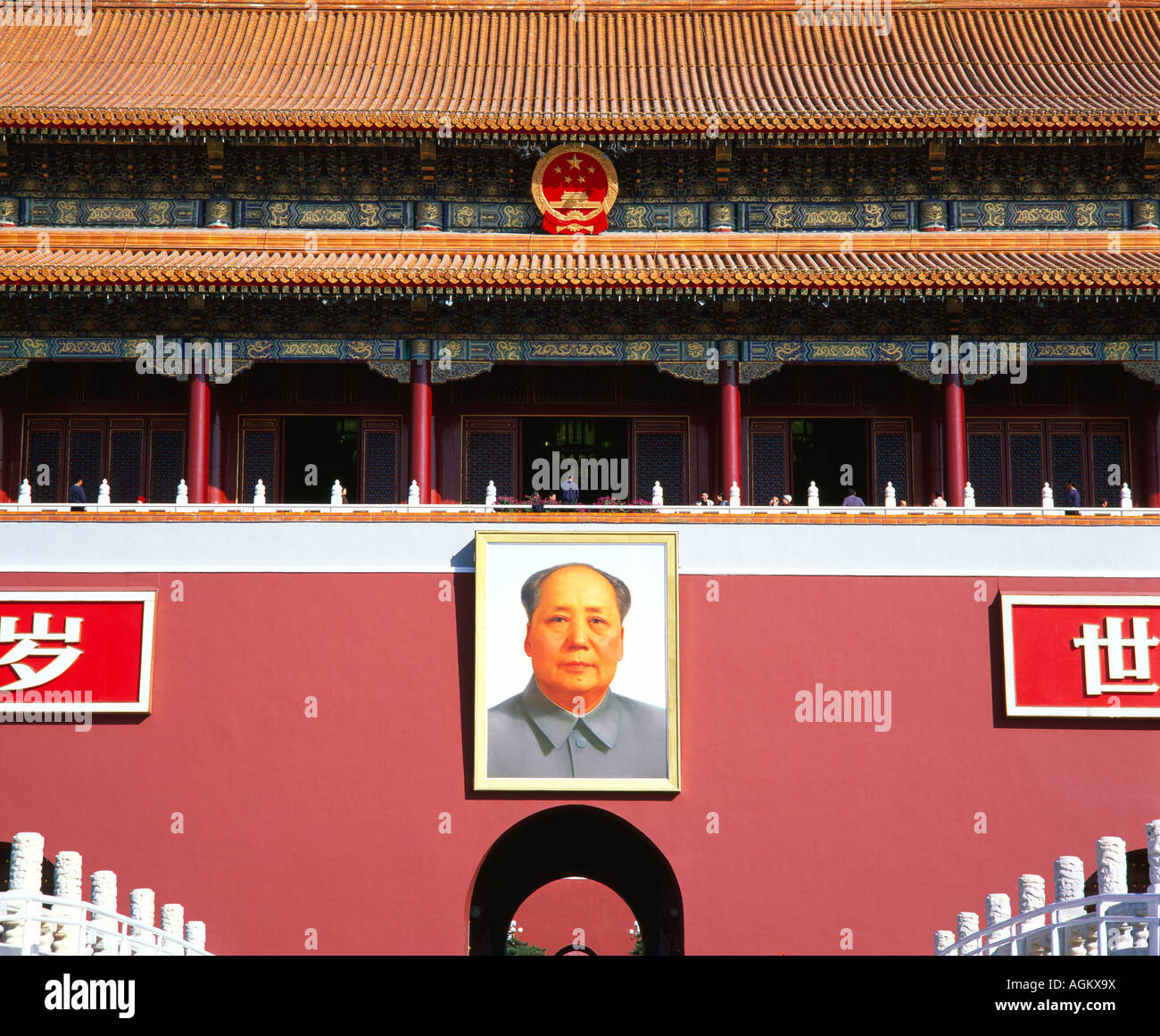 My Image 7