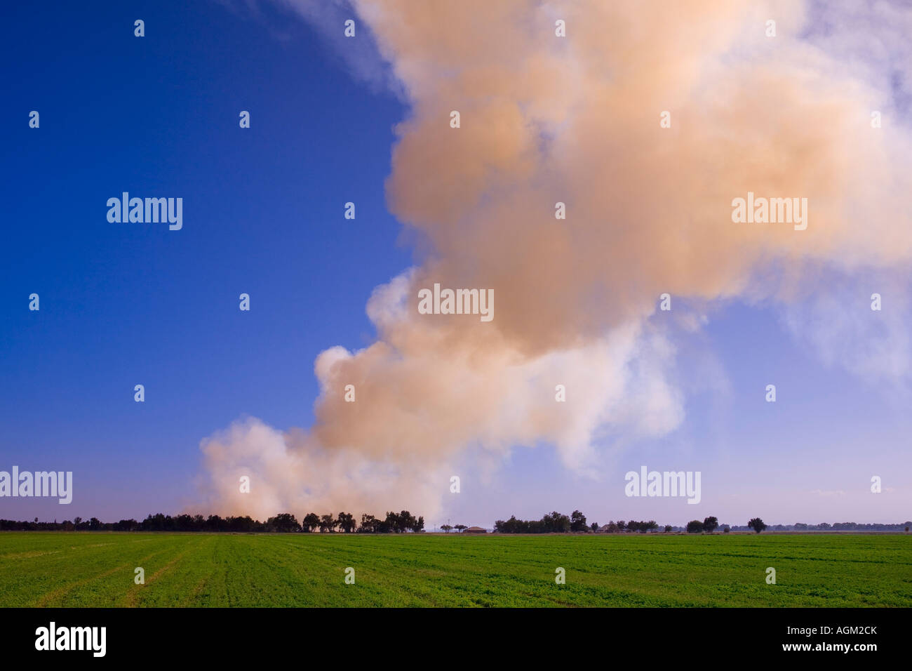 Rice fields burning in the Sacramento Valley, California Stock Photo