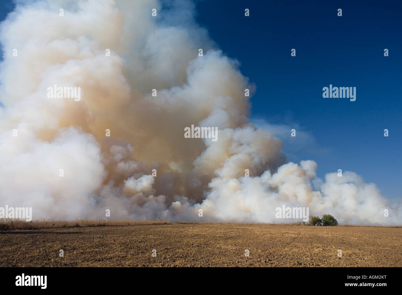 Rice fields burning in the Sacramento Valley, California Stock Photo