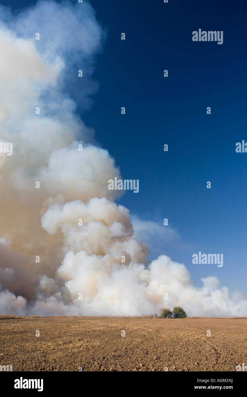 Rice fields burning in the Sacramento Valley, California Stock Photo