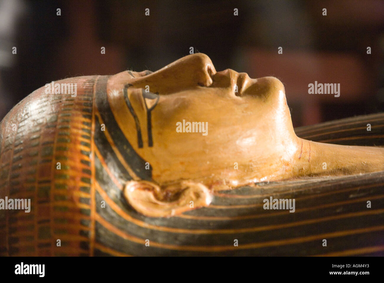 Egypt Mummy Museum High Resolution Stock Photography and Images Alamy