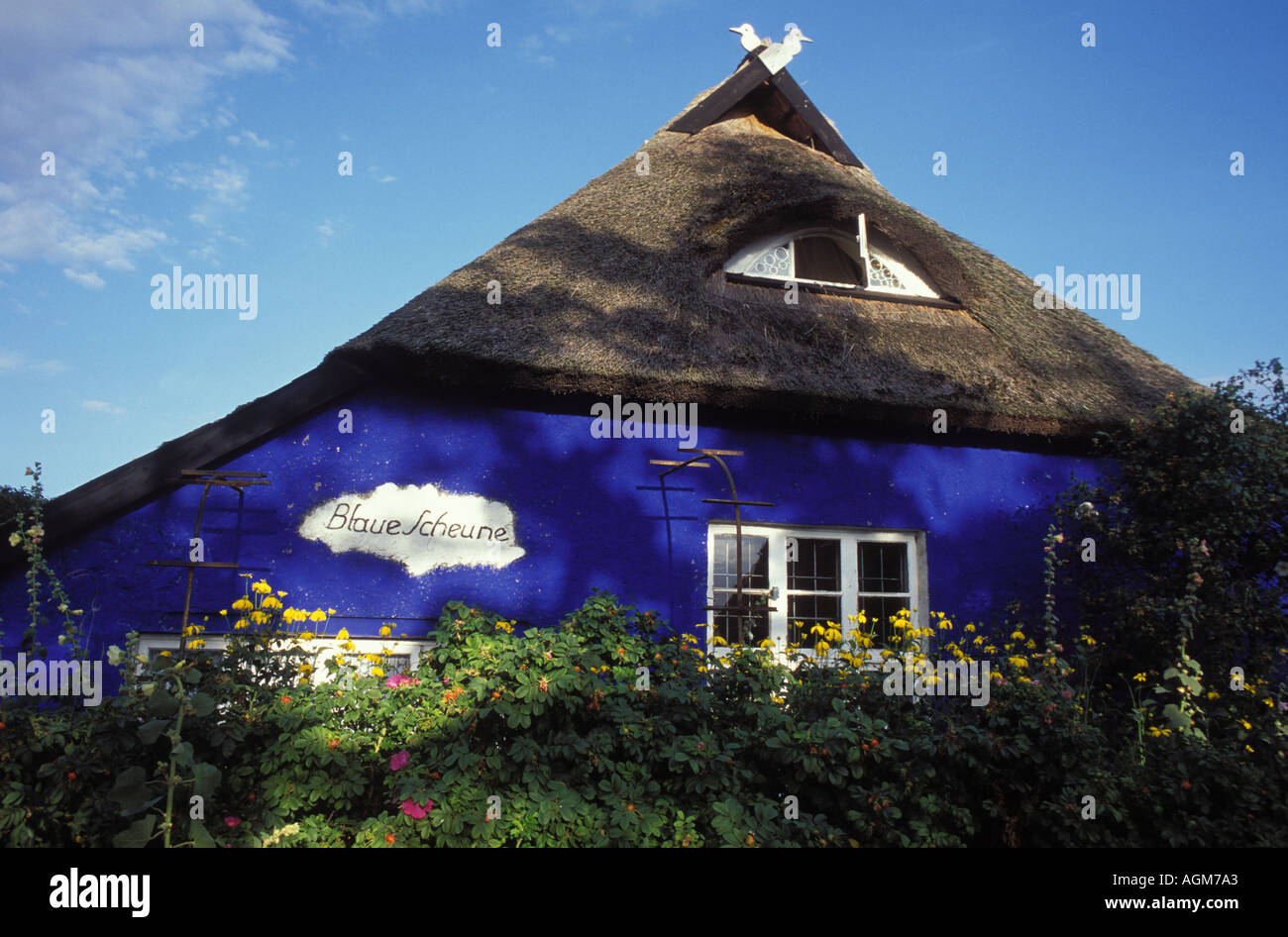 Gallery Blaue Scheune at Vitte Hiddensee Island Mecklenburg West Pomerania Stock Photo