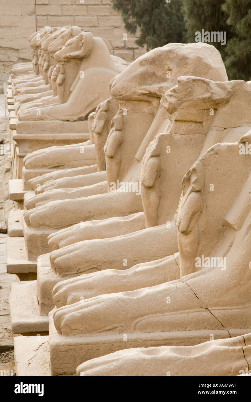 Stone Statues at Karnak Temple Egypt Stock Photo Alamy