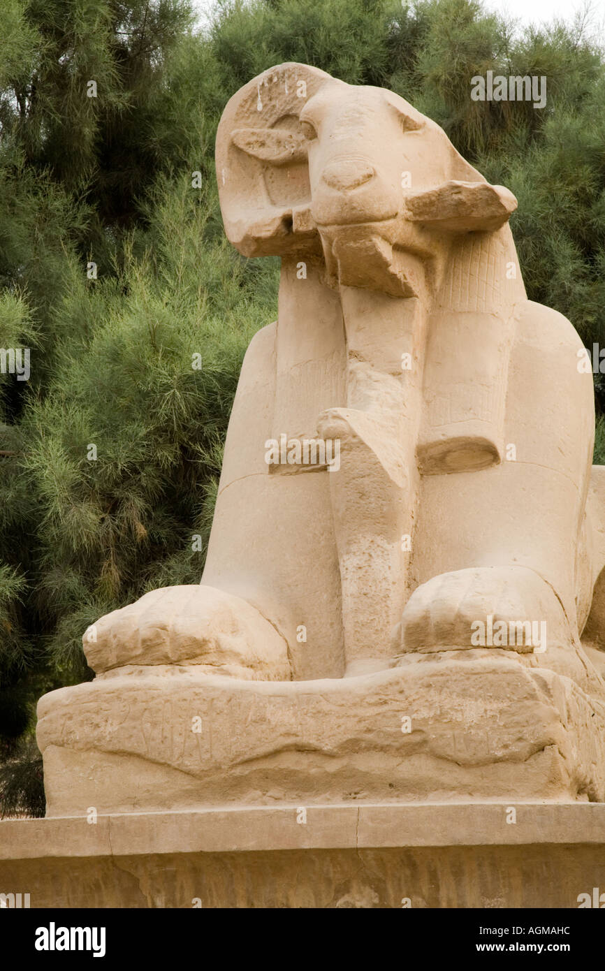 Stone Statues at Karnak Temple Egypt Stock Photo Alamy