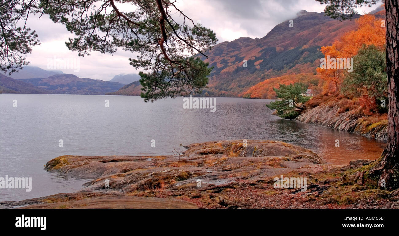 LOCH LOMOND IN AUTUMN FROM ROWARDENNAN WITH BEN LOMOND ON RIGHT Stock Photo