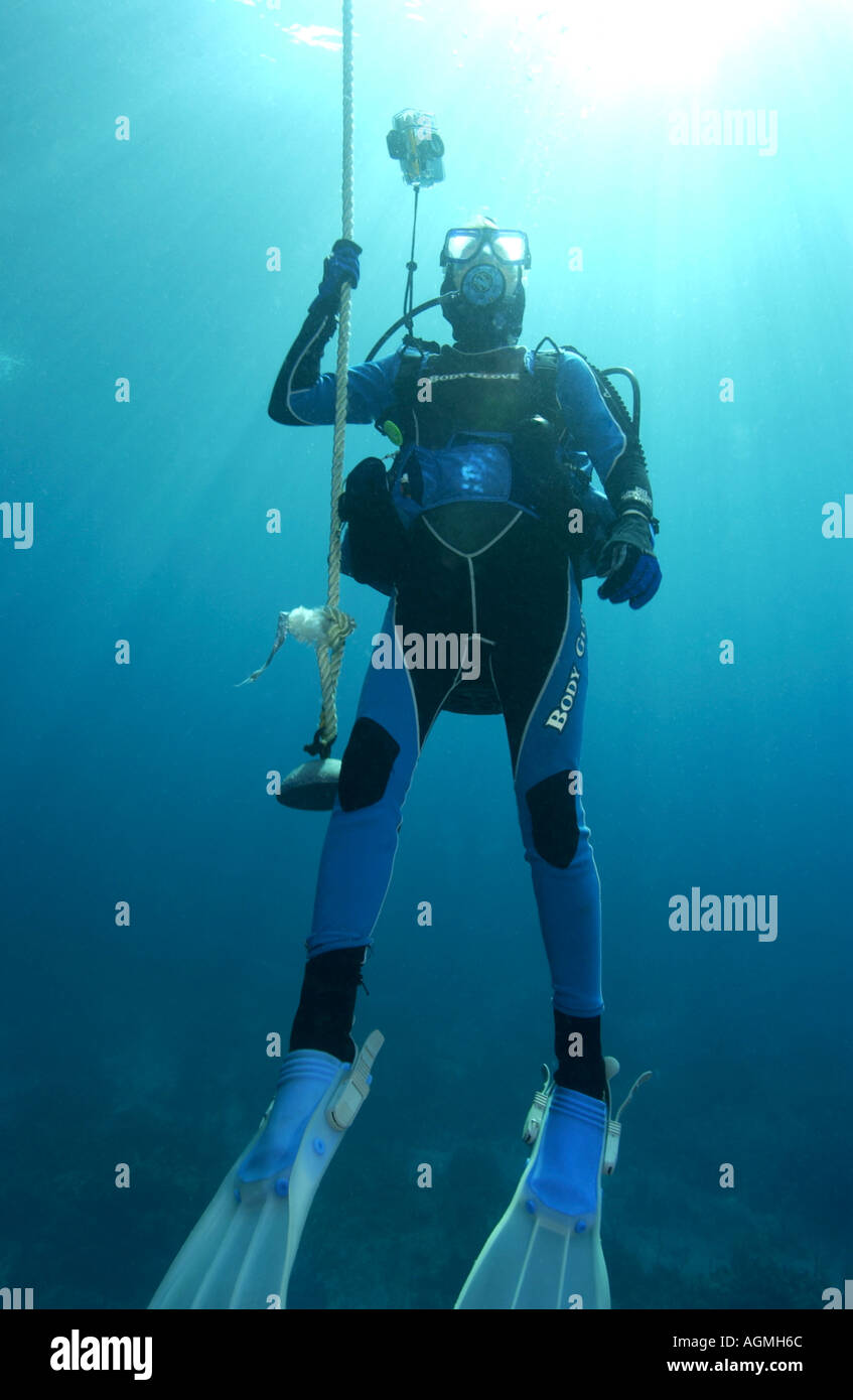 Woman diver doing safety stop at Rich s Well divesite Bahamas Stock Photo