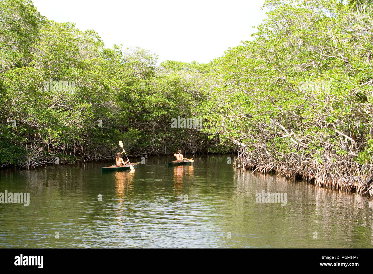 Women kayaking in hidey hole called Hidden Lake by locals near Key Largo Florida Stock Photo