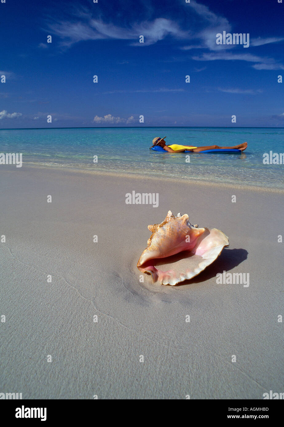 Grand Cayman 7 Mile Beach conch shell on sand Joanna Boxall on float