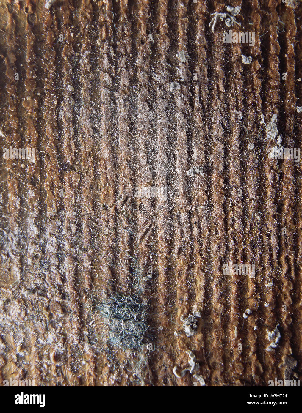 Background texture abstract verticle rust string glue rust lines stock