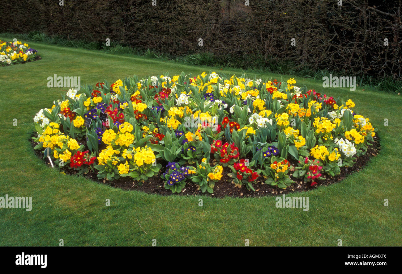 Round flower bed hi-res stock photography and images - Alamy