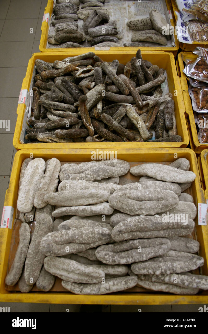 Dried sea cucumbers for sale Malaysia Stock Photo
