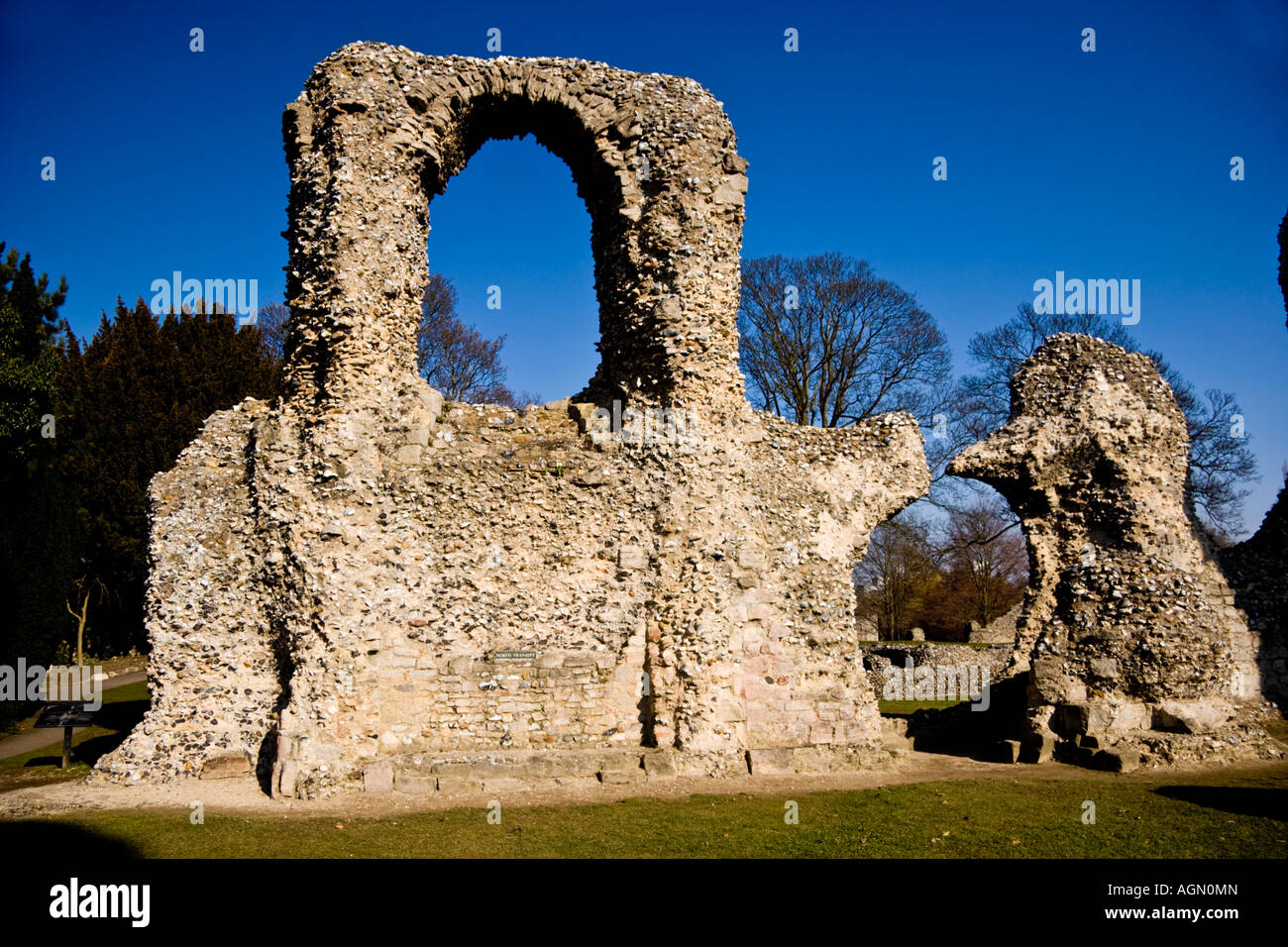 North transept of the ruined Abbey of St Edmund, Abbey Gardens, Bury St Edmunds, Suffolk, England Stock Photo