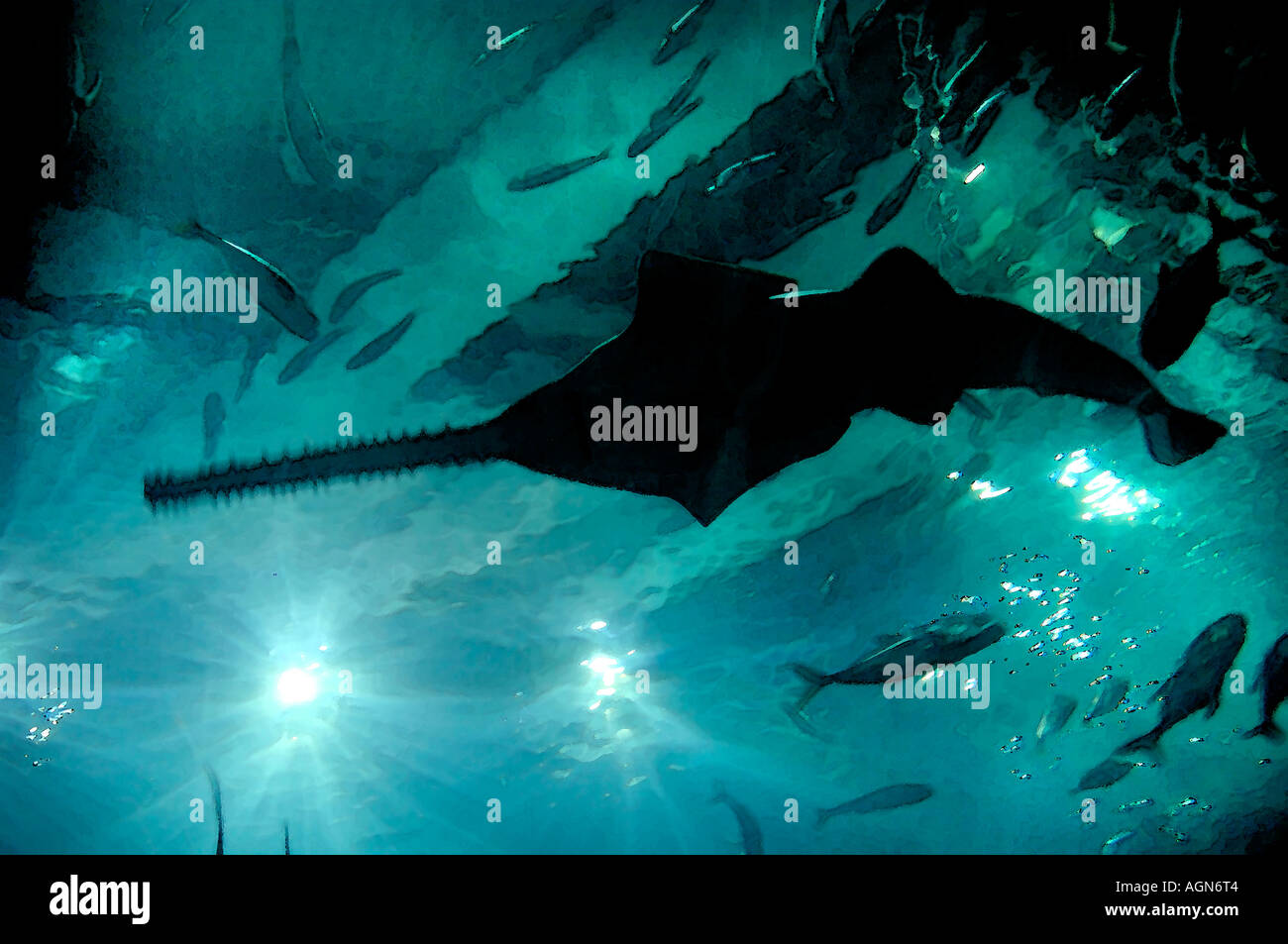 Sawfish: A Deep Sea Thriller