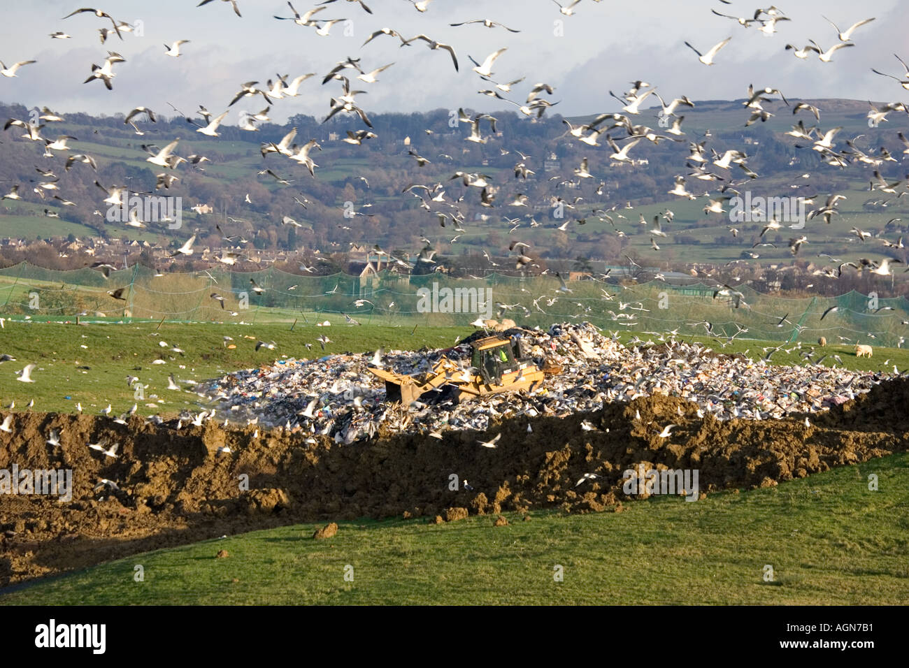 Bulldozer working on Wingmoor landfill site Cory Environmental Glos UK Stock Photo