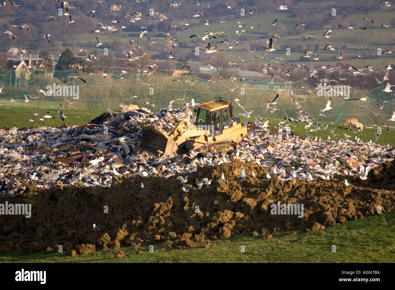 Bulldozer working on Wingmoor landfill site Cory Environmental Glos UK Stock Photo