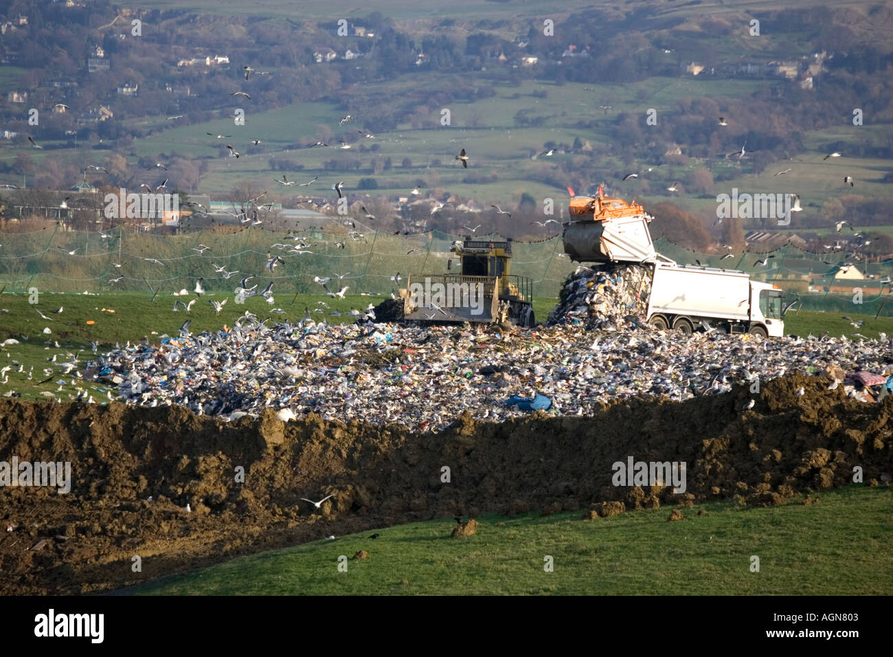 Bulldozer and seagulls on landfill site in Cotswolds Wingmoor Site Cory Environmental UK Stock Photo