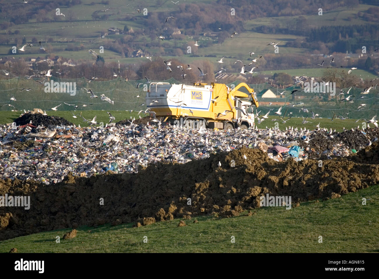 Gulls circling by domestic waste lorry on landfill site in Cotswolds Wingmoor Site Cory Environmental UK Stock Photo