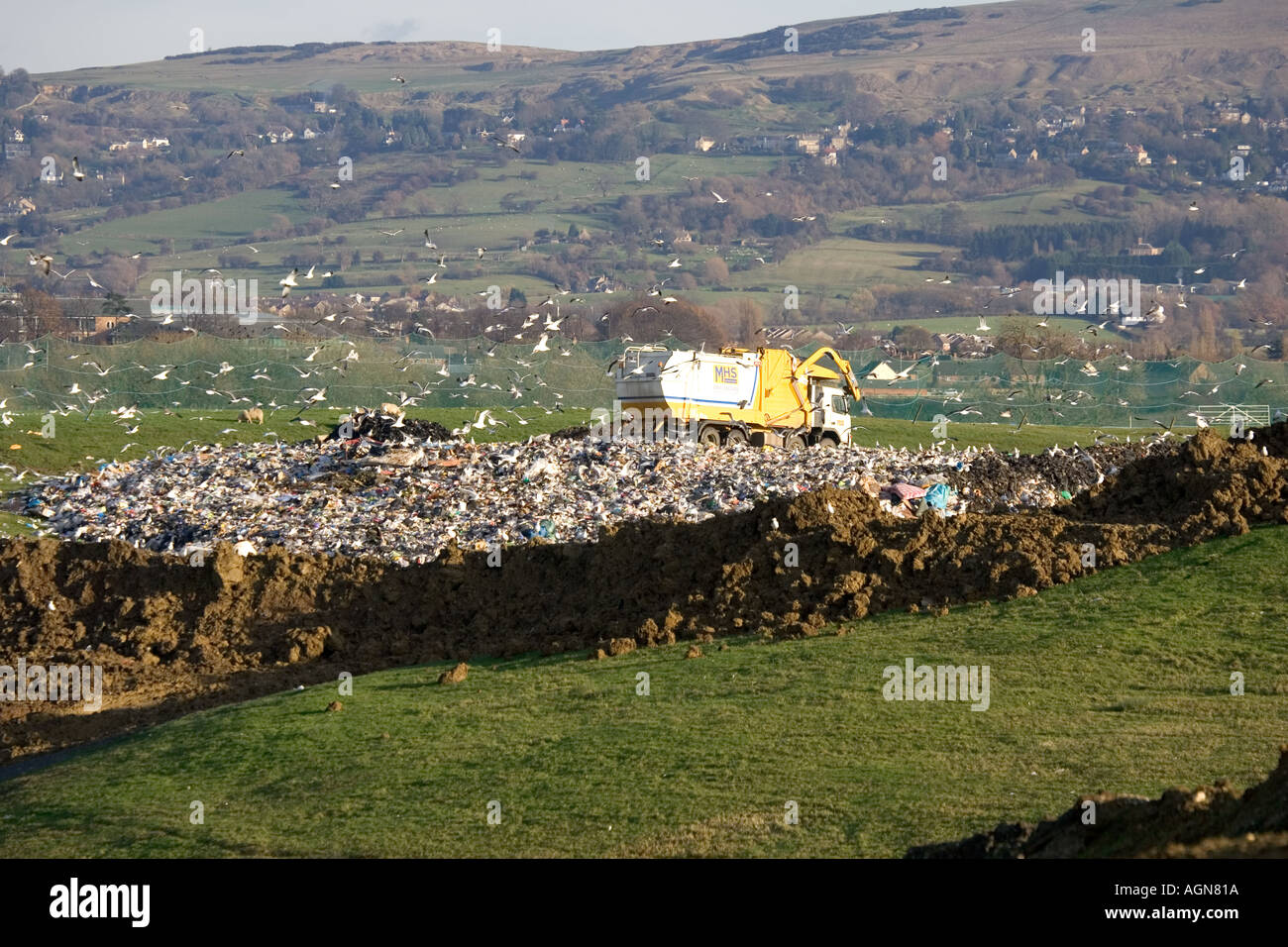 Lorry surrounded by gulls dumping domestic waste on landfill site in Cotswolds Wingmoor Farm Cory Environmental UK Stock Photo