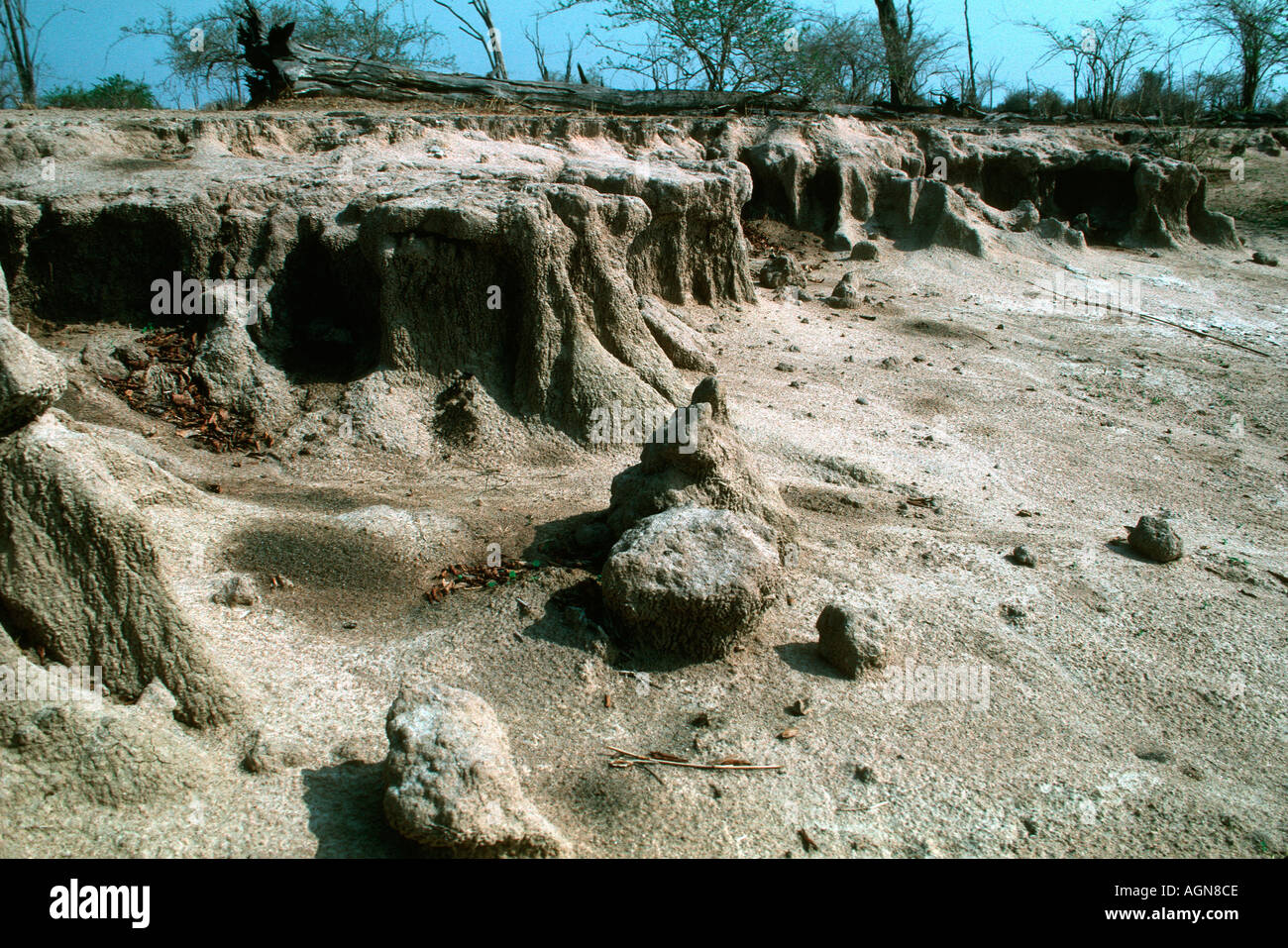 Extensive soil erosion following loss of vegetation cover North Luangwa