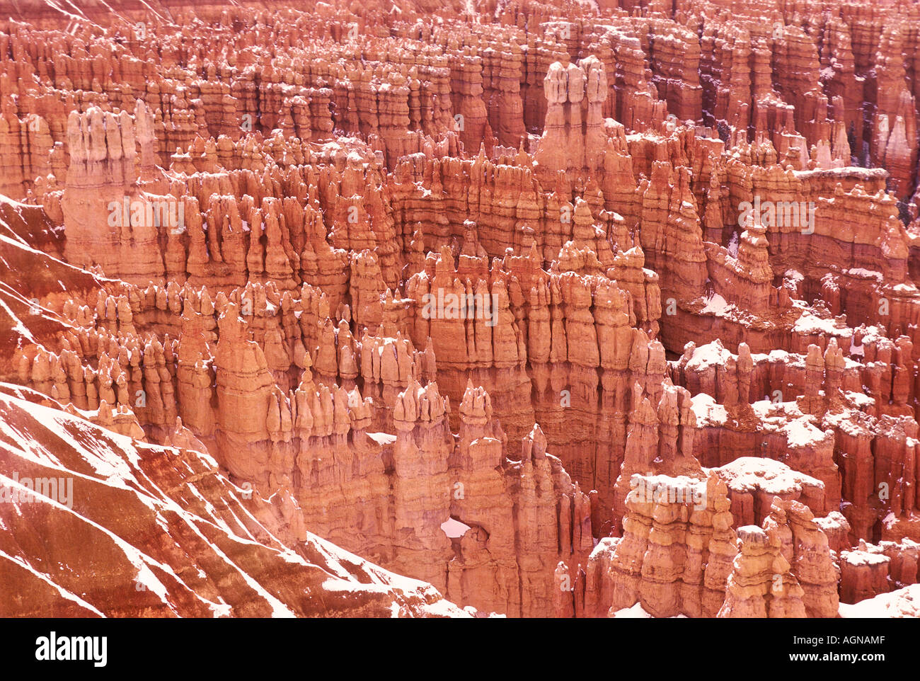 Bryce Canyon National Park Utah Stock Photo