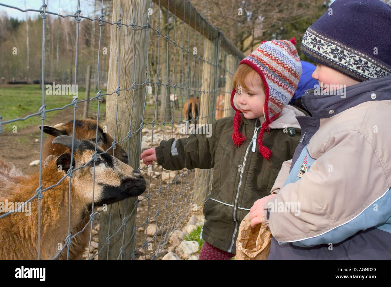 Poing by Munich Bavaria leisure park Poing children are feeding little goats MR Stock Photo