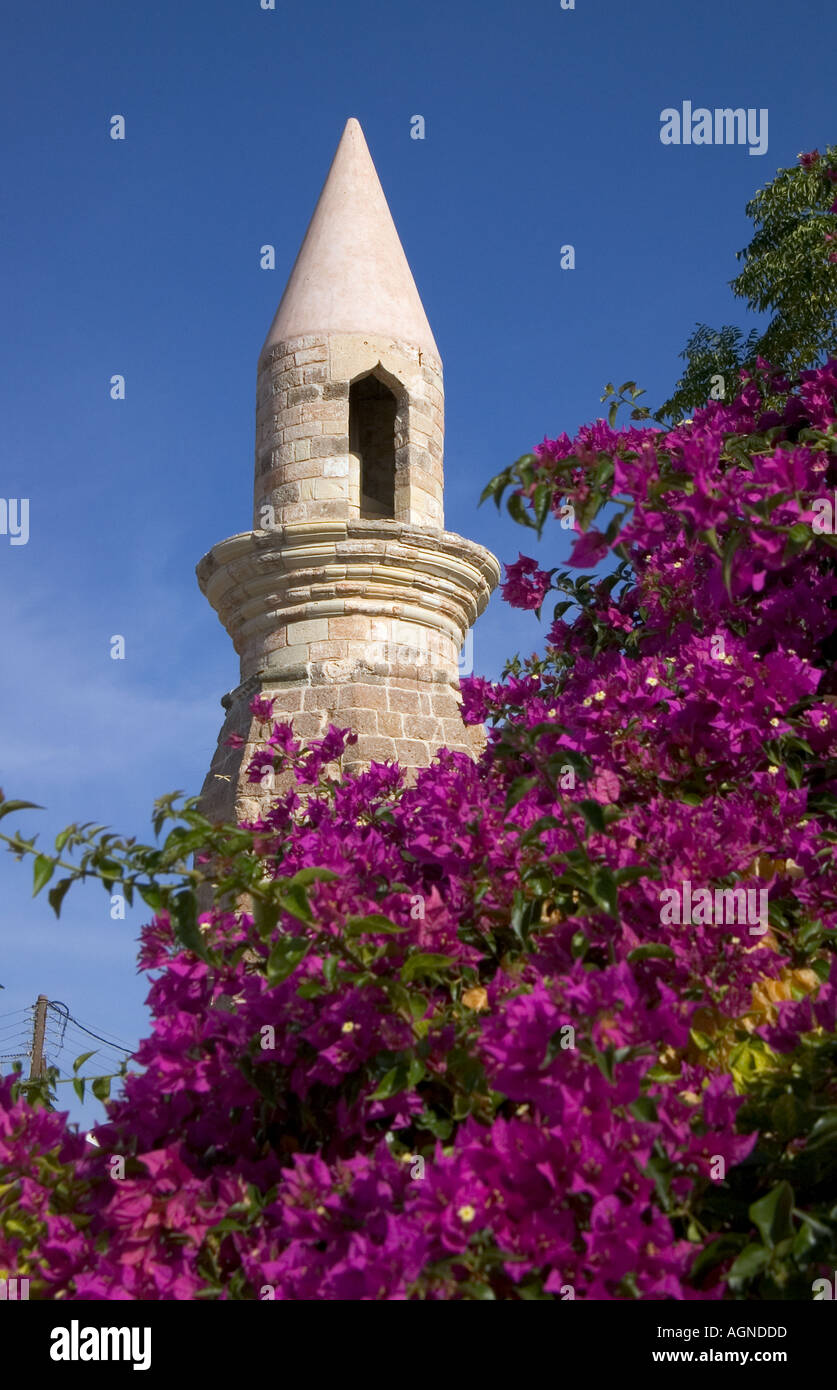 dh KOS TOWN GREECE KOS Tower minaret purple flowering tree bougainvillea bush Stock Photo