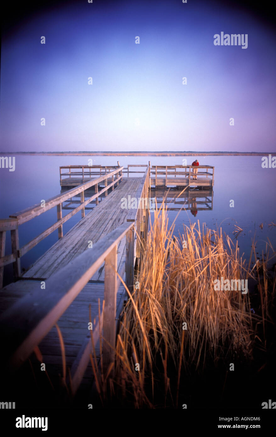 Dock at Lake of the Woods State Park Minnesota Stock Photo Alamy