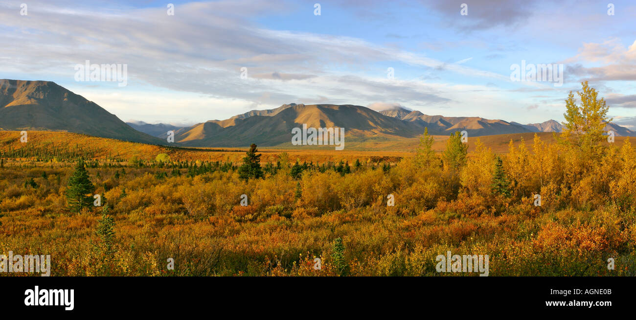 der Denali Nationalpark im Herbst im Gebiet zwischen Riley Creek und Savage River Alaska USA Stock Photo
