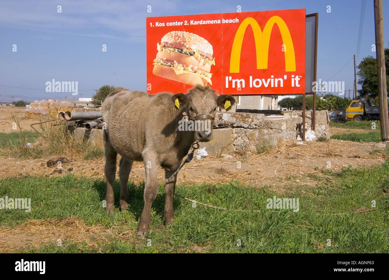 dh MacDonalds advertising sign KOS ISLAND GREECE Tethered Calf Im lovin it mcdonalds advert board cow in field tied advertisement hamburger Stock Photo