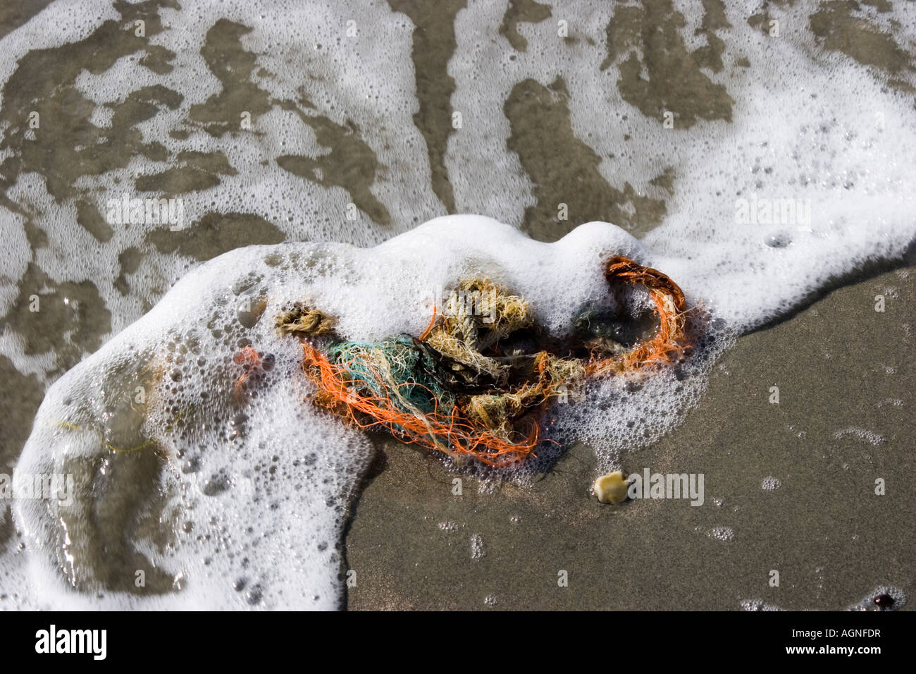 Ropes tangled and deposited on the beach Stock Photo