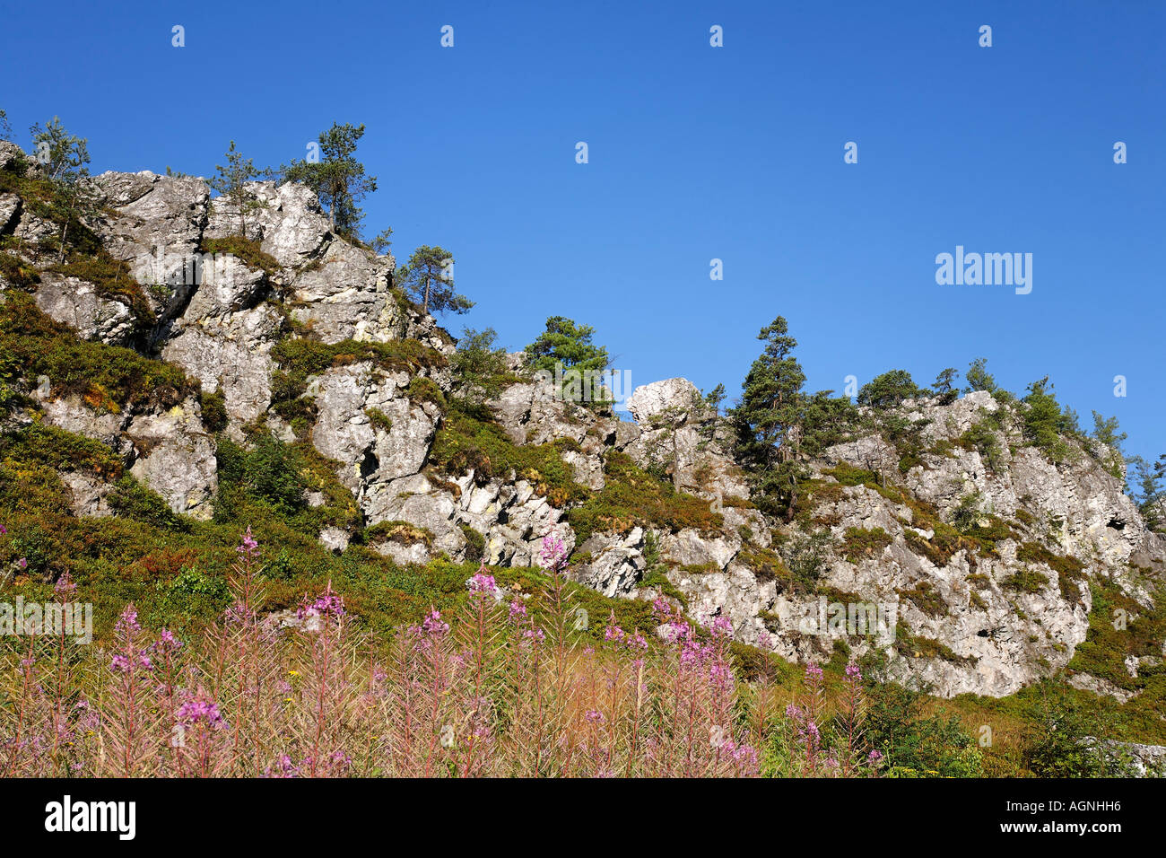 Pfahl rocks near Viechtach , Bavarian Forest Bavaria Germany Stock Photo