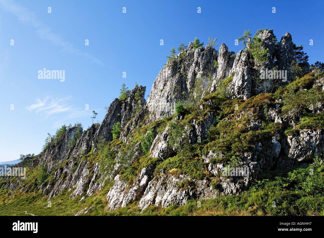Pfahl rocks near Viechtach , Bavarian Forest Bavaria Germany Stock Photo