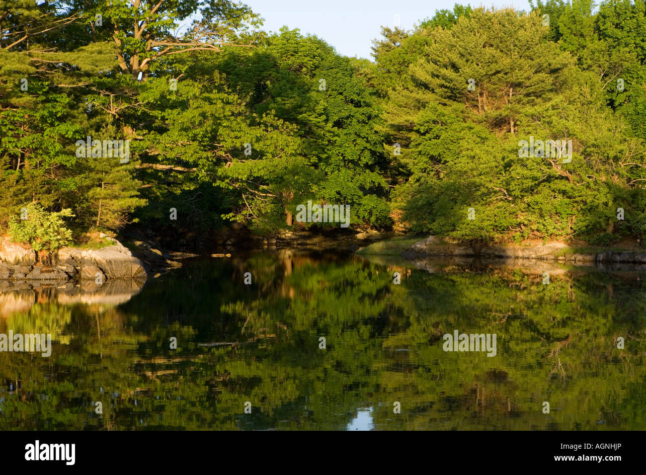 Early morning at the Creek Farm Preserve in Portsmouth New Hampshire