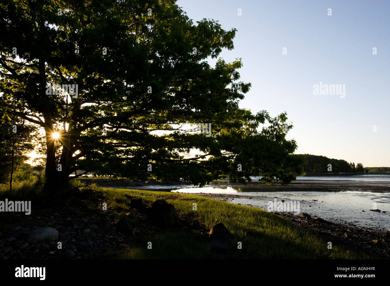 Early morning at the Creek Farm Preserve in Portsmouth New Hampshire