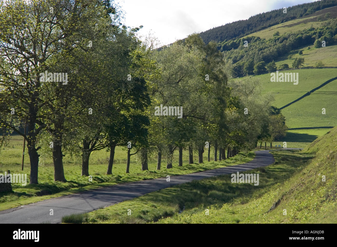 Innerleithen Tweeddale Scottish Borders UK Leithen Water descends to