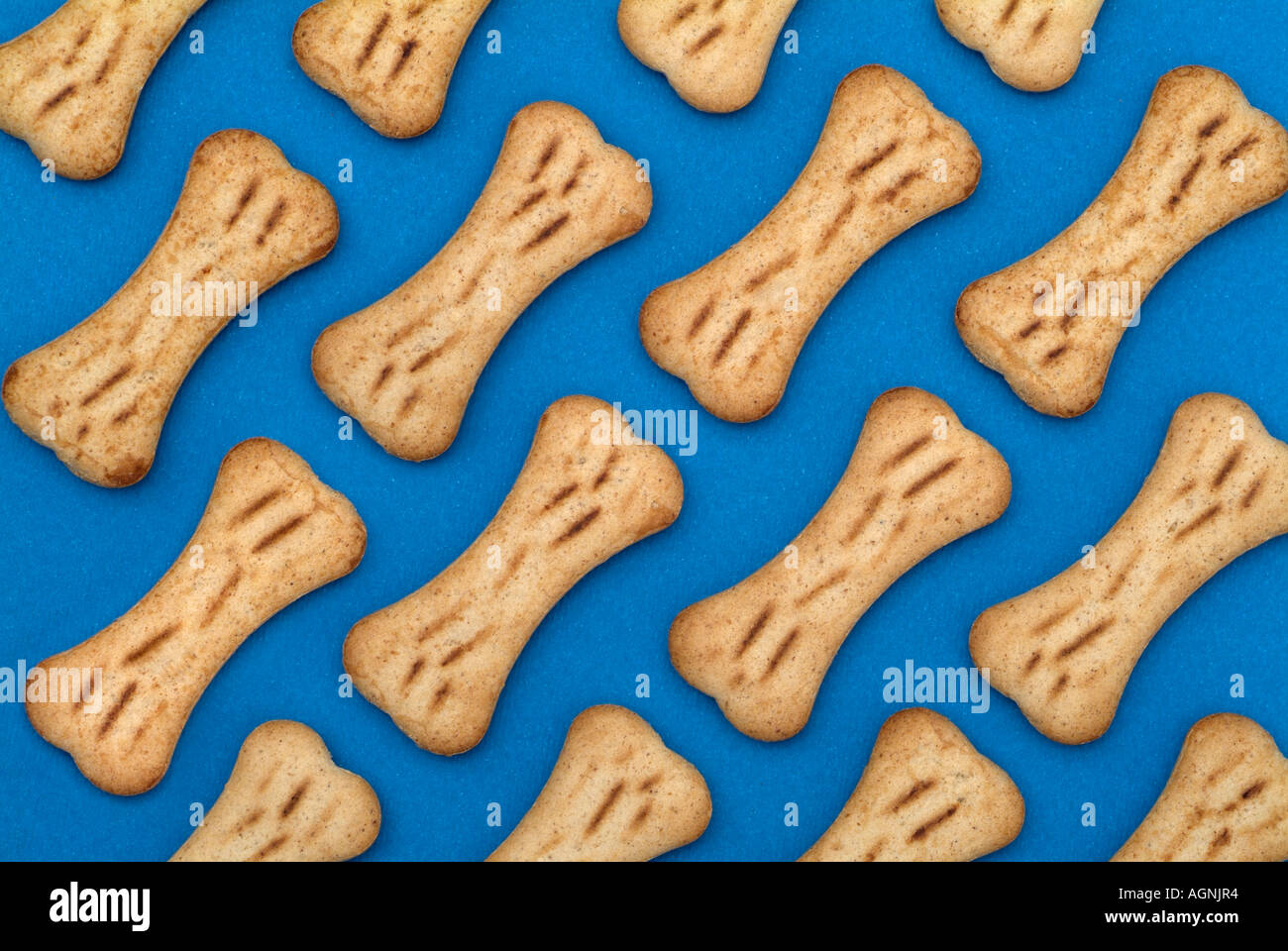 Bone Shaped Dog Biscuits Stock Photo Alamy