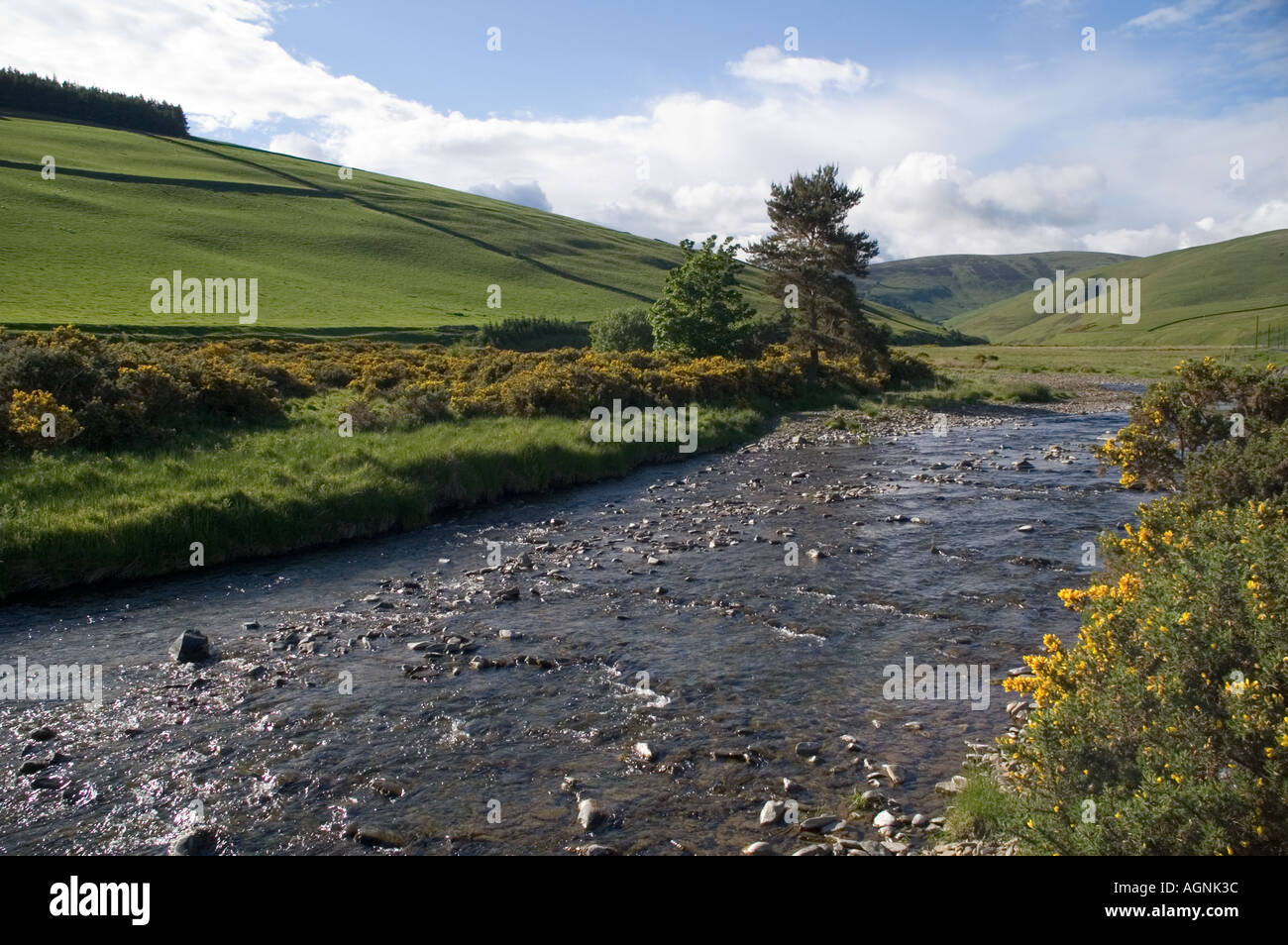 Innerleithen Tweeddale Scottish Borders UK Leithen Water descends to