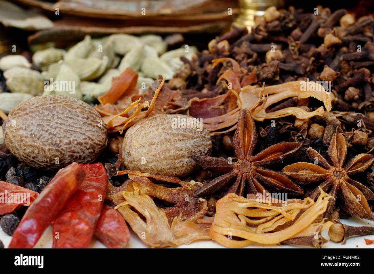 Variety of Indian spices condiments herbs herbals flavoured Stock Photo