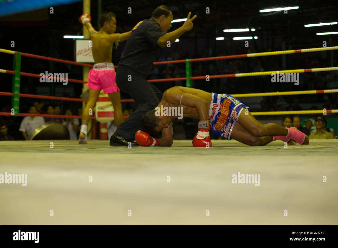 Thai boxer lying on ground referee counting out Thai Boxing Lumphini