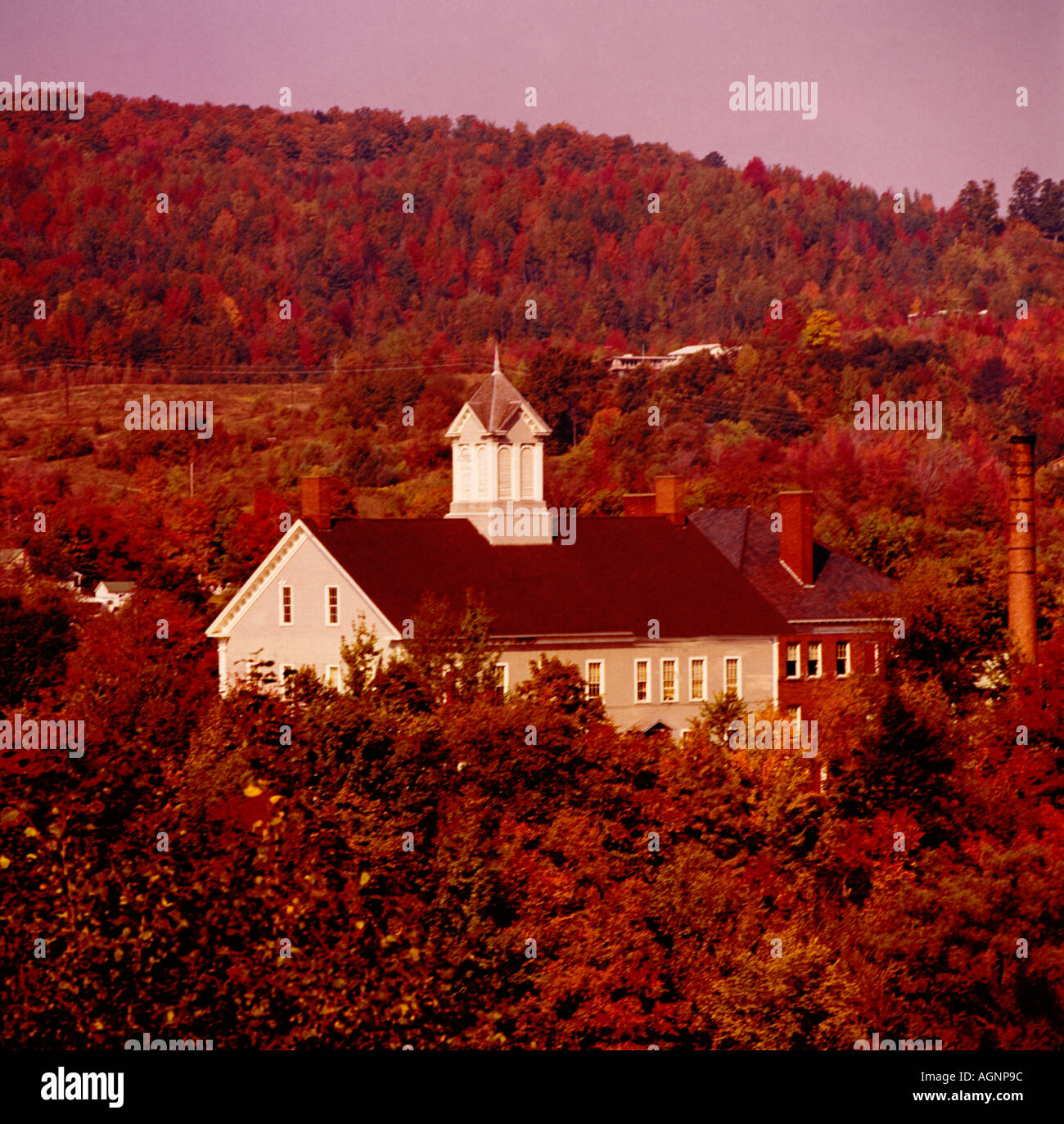 Autumn colors the trees and bushes around a small rural building in ...