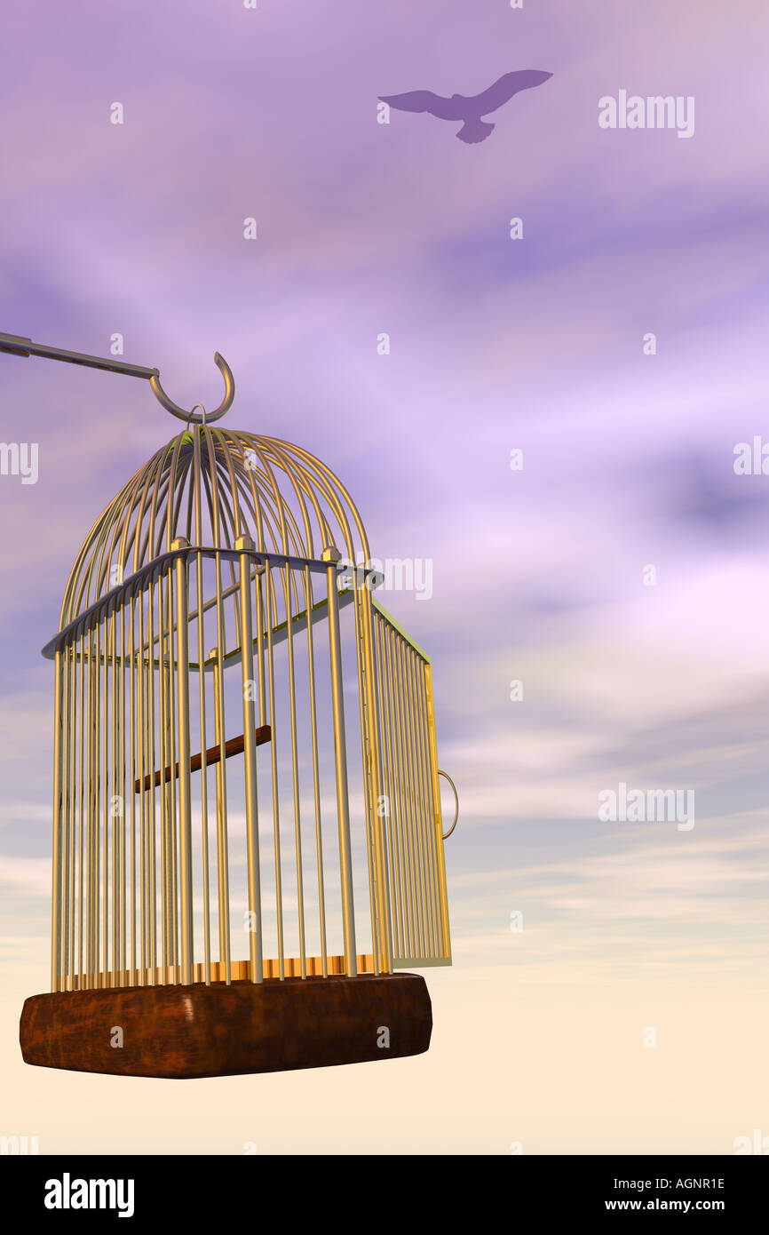 Bird flying out of cage hi-res stock photography and images - Alamy