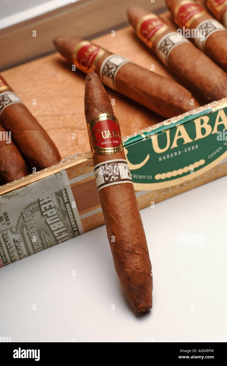 Box of Cuaba Tradicionales cigars Havana Cuba Stock Photo Alamy