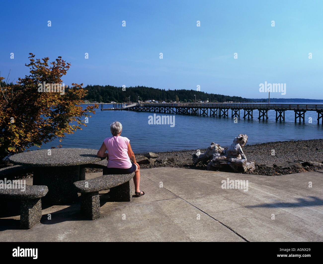 WATERFRONT PARK with a lady sitting at a picnic table Allyn "Washington