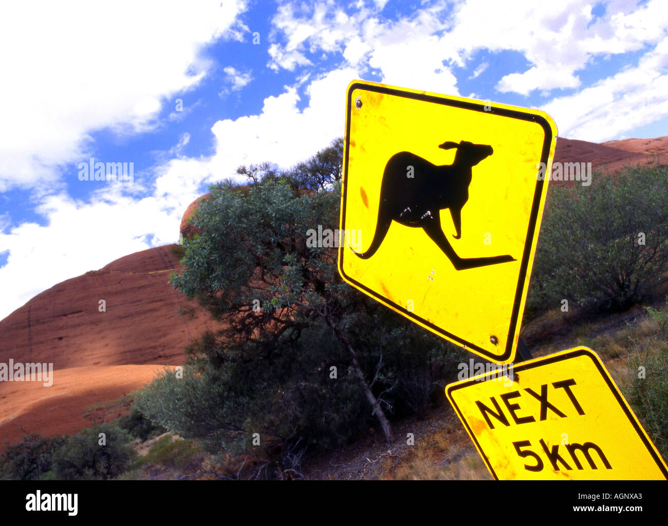 Kangaroo warning sign Stock Photo Alamy