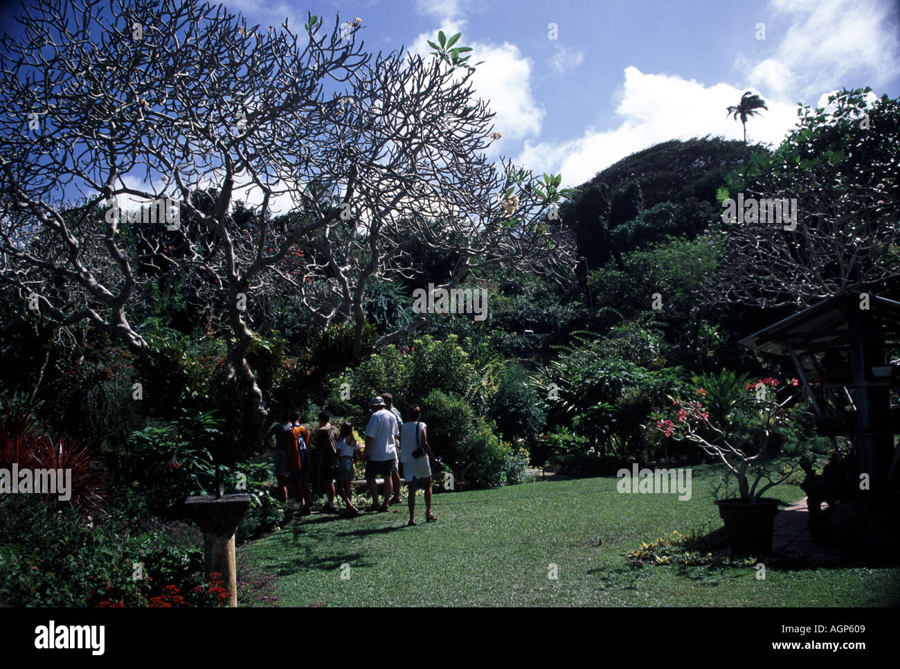 Andromeda Gardens Barbados Stock Photos Andromeda Gardens