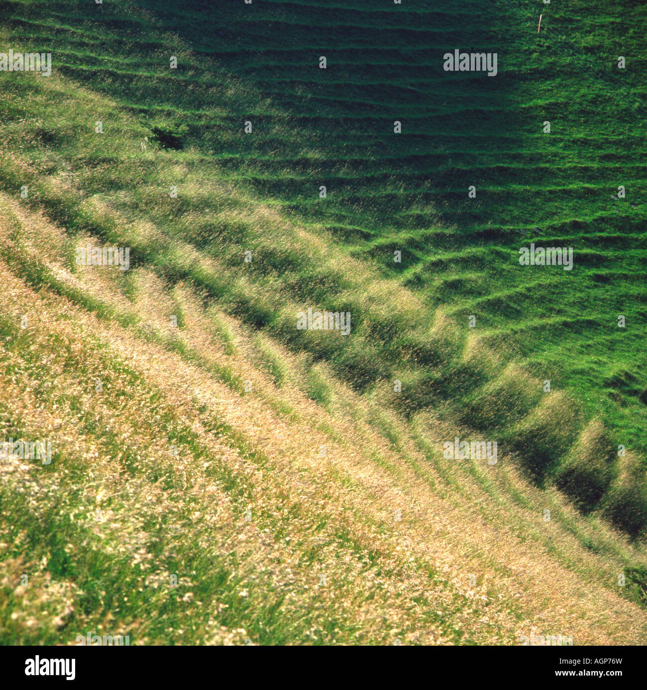 Hillside terracettes hi-res stock photography and images - Alamy